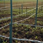 کاربردهای سیم مفتول گالوانیزه در کشاورزی و باغبانی